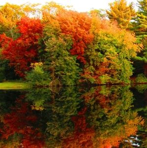 Meet your Posher, Nayeli